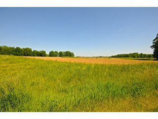 Property photo 70 - LAND AUCTION - 604+/- ACRES OFFERED IN 24 TRACTS IN MORGAN COUNTY, INDIANA